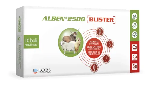ALBEN 2500 BLISTER
