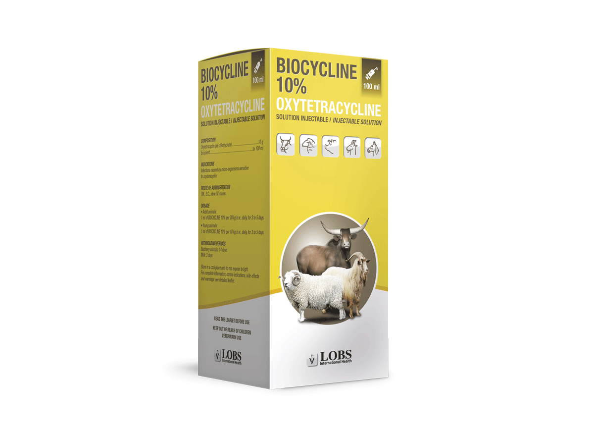 Lobs International Health Les Ruminants Lobs International Health Les Ruminants