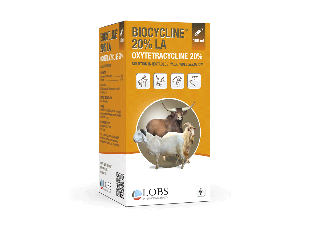 Lobs International Health Les Ruminants Lobs International Health Les Ruminants