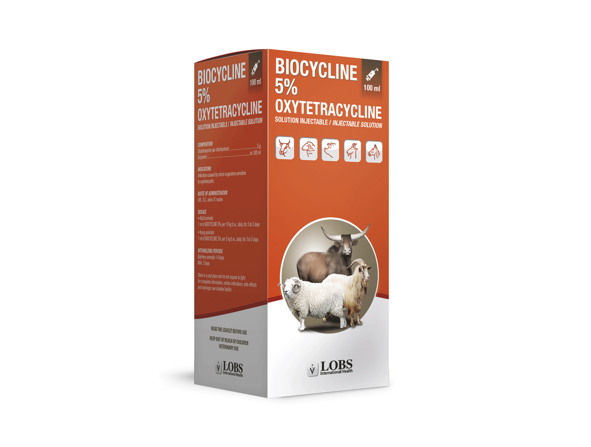 Lobs International Health Les Ruminants Lobs International Health Les Ruminants