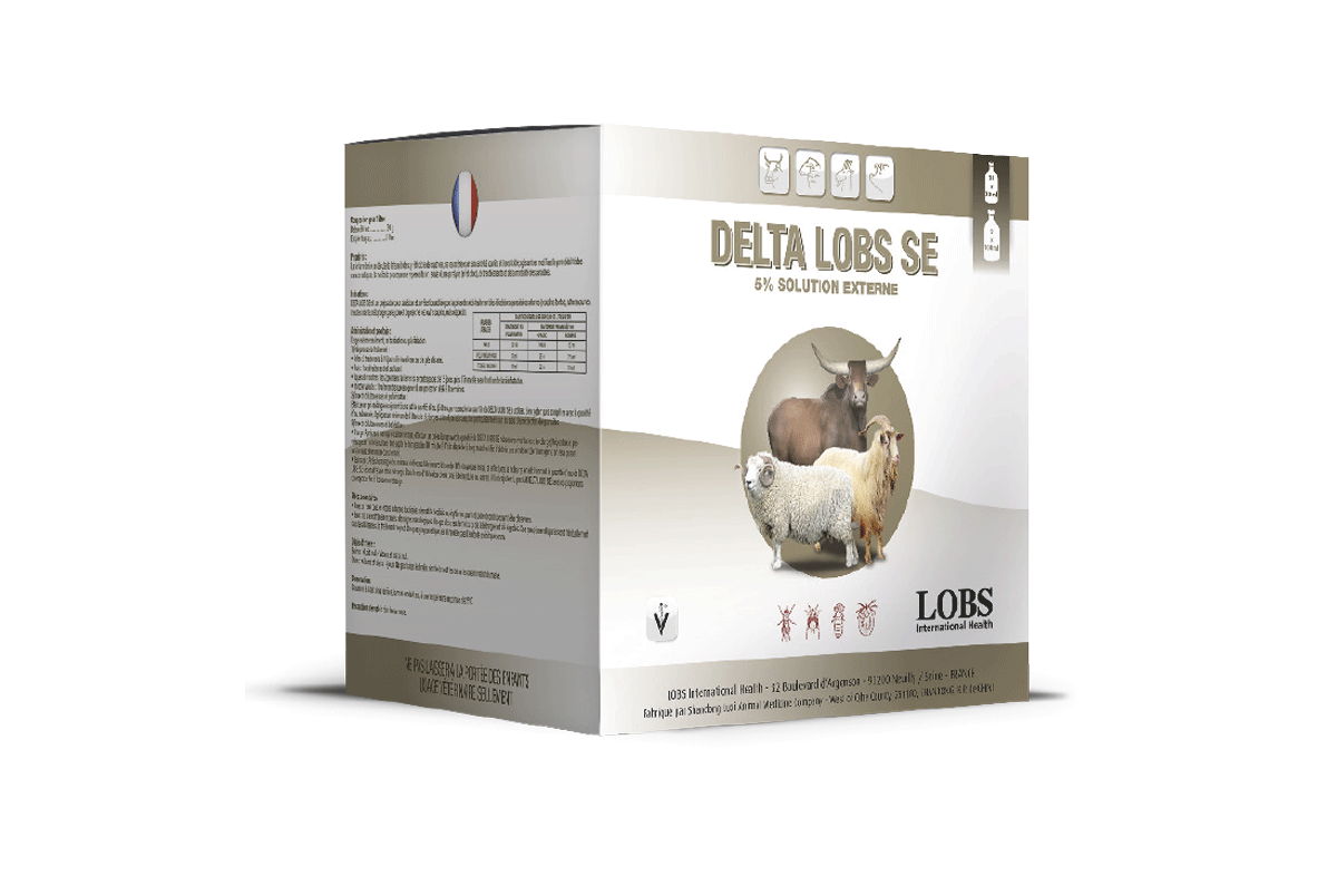 Lobs International Health Les Ruminants Lobs International Health Les Ruminants