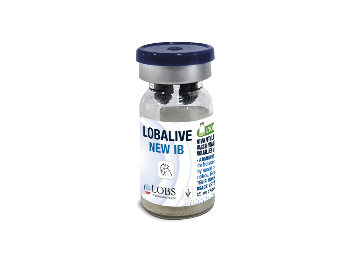 Lobs International Health Les Volailles Lobs International Health Les Volailles