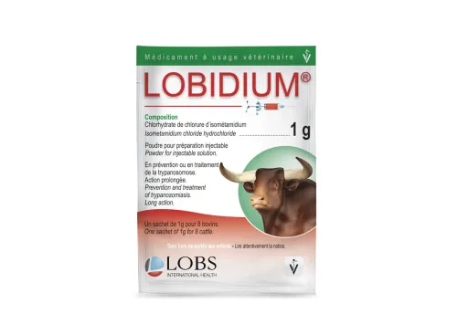 LOBIDIUM