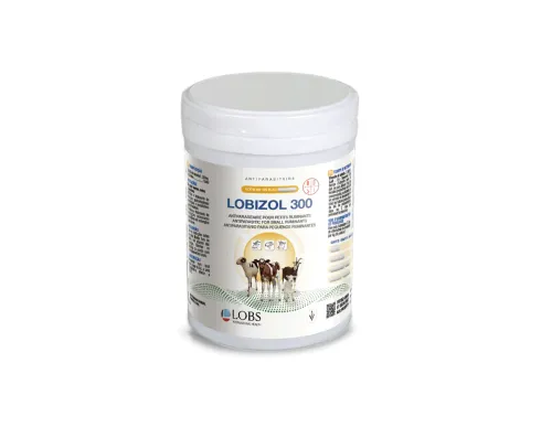 LOBIZOL 300