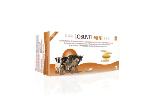LOBUVIT-MINI