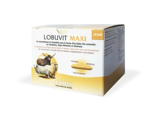 LOBUVIT-MAXI