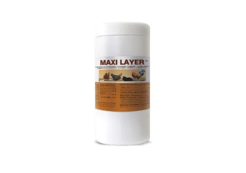 MAXI LAYER