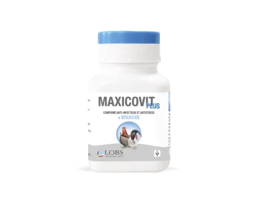 MAXI COVIT