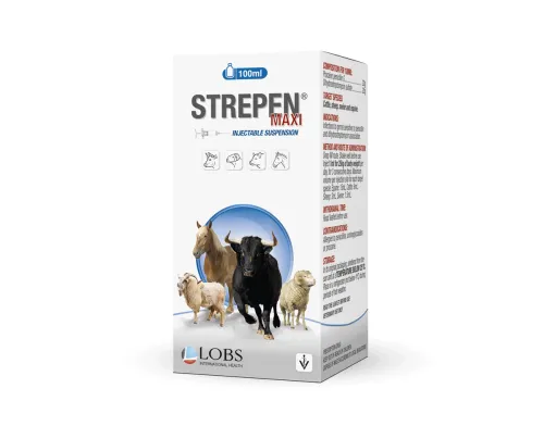STREPEN MAXI