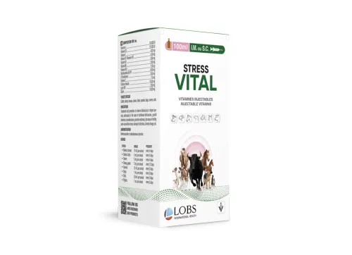 STRESS VITA
