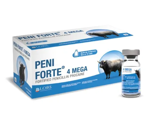 PENI FORTE 4 MEGA