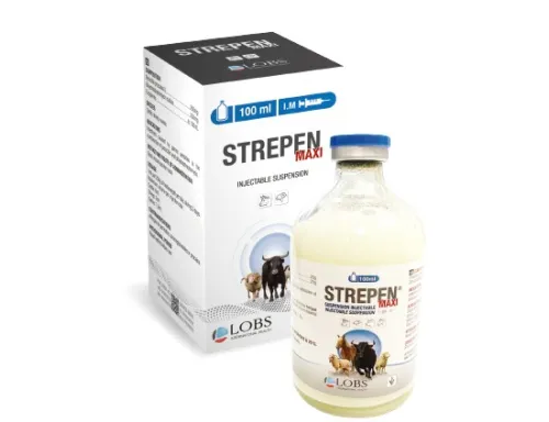 STREPEN MAXI
