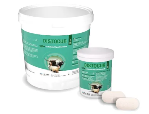 DISTOCUR