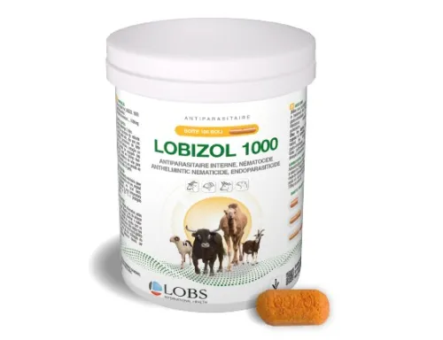LOBIZOL 1000