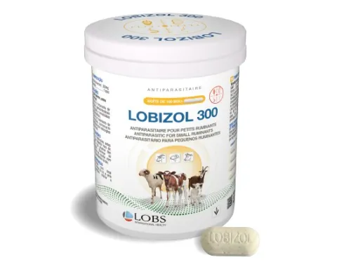 LOBIZOL 300