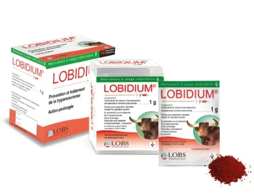LOBIDIUM
