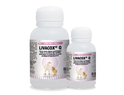 LIVACOX Q