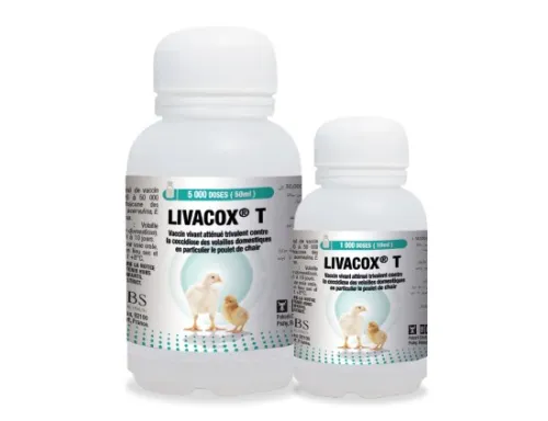 LIVACOX T