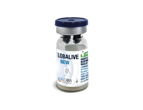 LOBALIVE NEW