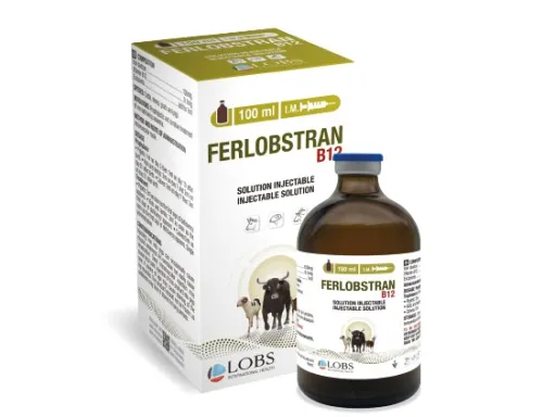 FERLOBSTRAN B12