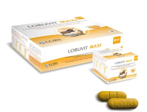 LOBUVIT-MAXI
