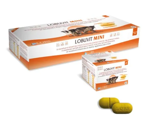 LOBUVIT-MINI