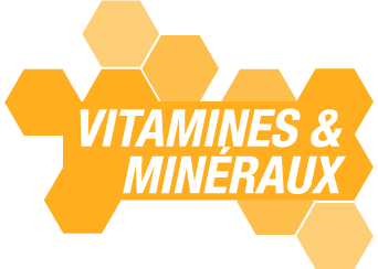 Vitamines & minéraux