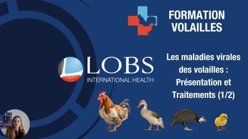 Viral Diseases of Poultry 1 of 2: Overview & Treatments