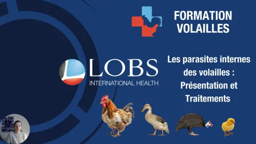 Internal parasites of poultry