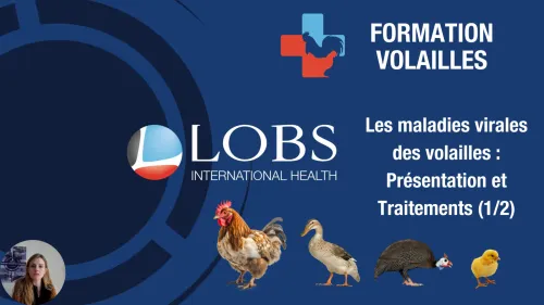 Poultry protozoa: presentation and treatments
